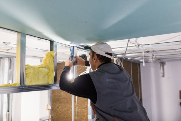 Best Cellulose Insulation in Whitney, TX