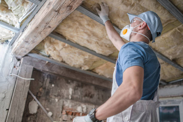 Best Eco-Friendly Insulation in Whitney, TX