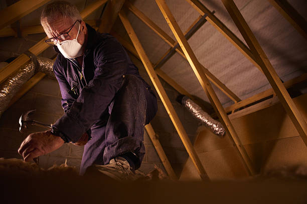 Types of Insulation We Offer in Whitney, TX